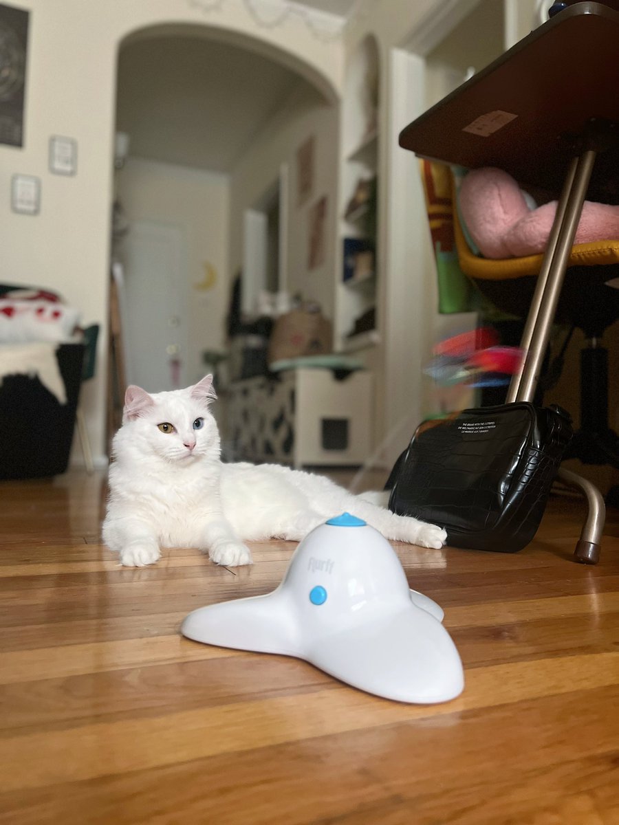mew tweet media