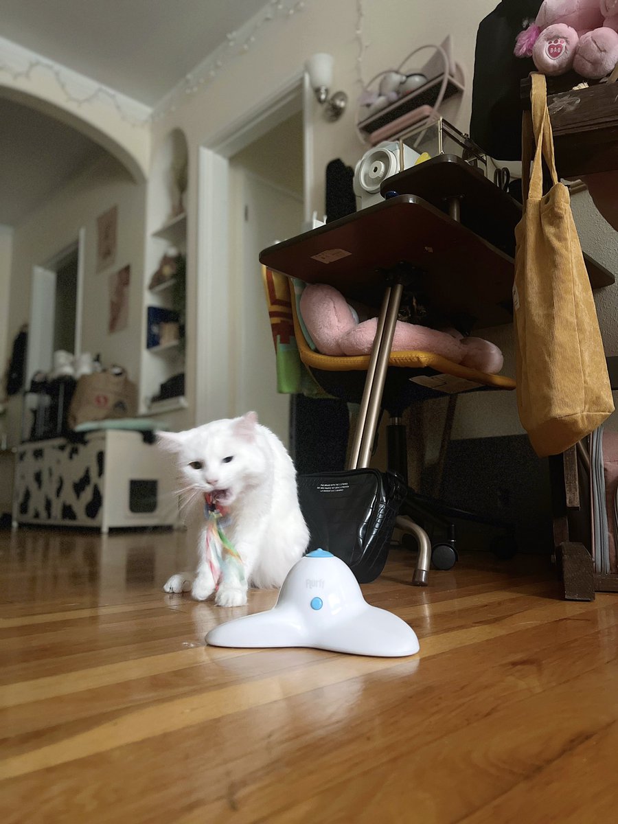 mew tweet media
