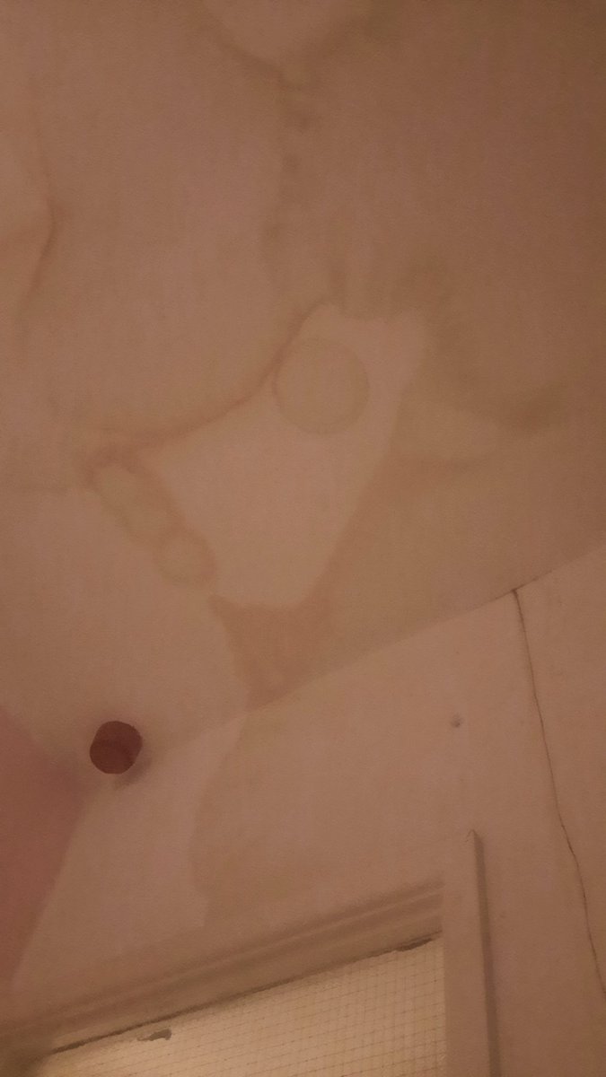PetiteUllaloom's tweet photo. My daughter hasn't had a room all Xmas due to a leak from a flat upstairs,still un resolved, u now have the audacity to say I must pay for the mould removal, removal of water in the walls &amp; redecoration. Ta @Onward_Homes As a single working parent on a low income this sucks! https://t.co/z3jn3Qya7F