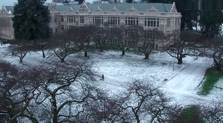 manuscriptae's tweet photo. @ETreharne Same at UW-Seattle -- one week online, and a still-snowy campus: https://t.co/Lf972qUbAB