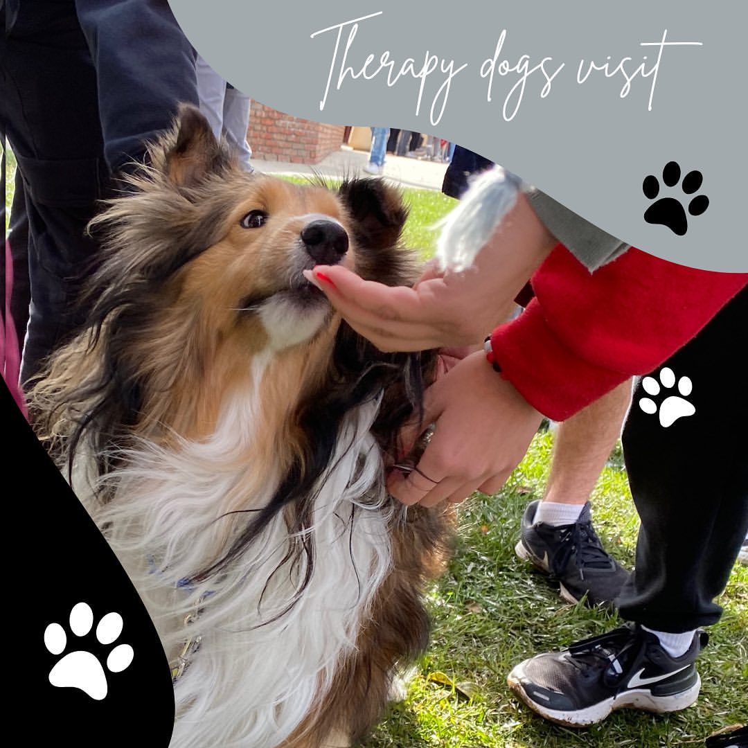 Westmont High School bringing in the warm feels before finals  &gt;&gt;&gt;