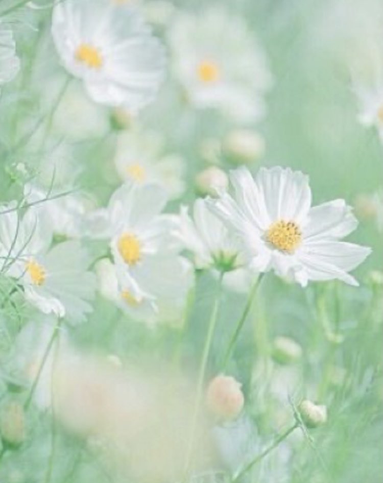 Dear World,                                         I am excited to be alive in You, and I am thankful for another year