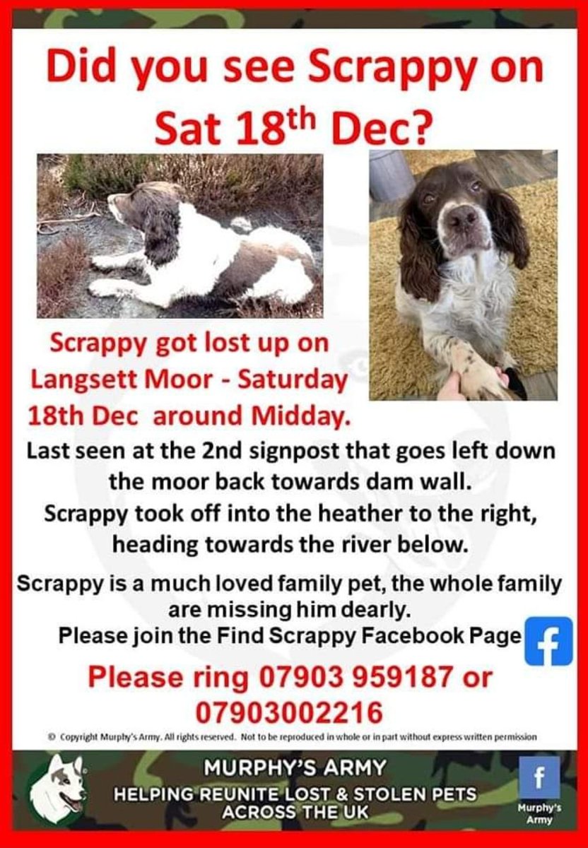 Hello Everyone, Welcome to Find Scrappy twitter account.

Scrappy was last seen at the 2nd signpost that goes left down the Moor back towards the Dam Wall.

Scrappy took off into the heather on the right, heading towards the river.

#findscrappy
#teamscrappy