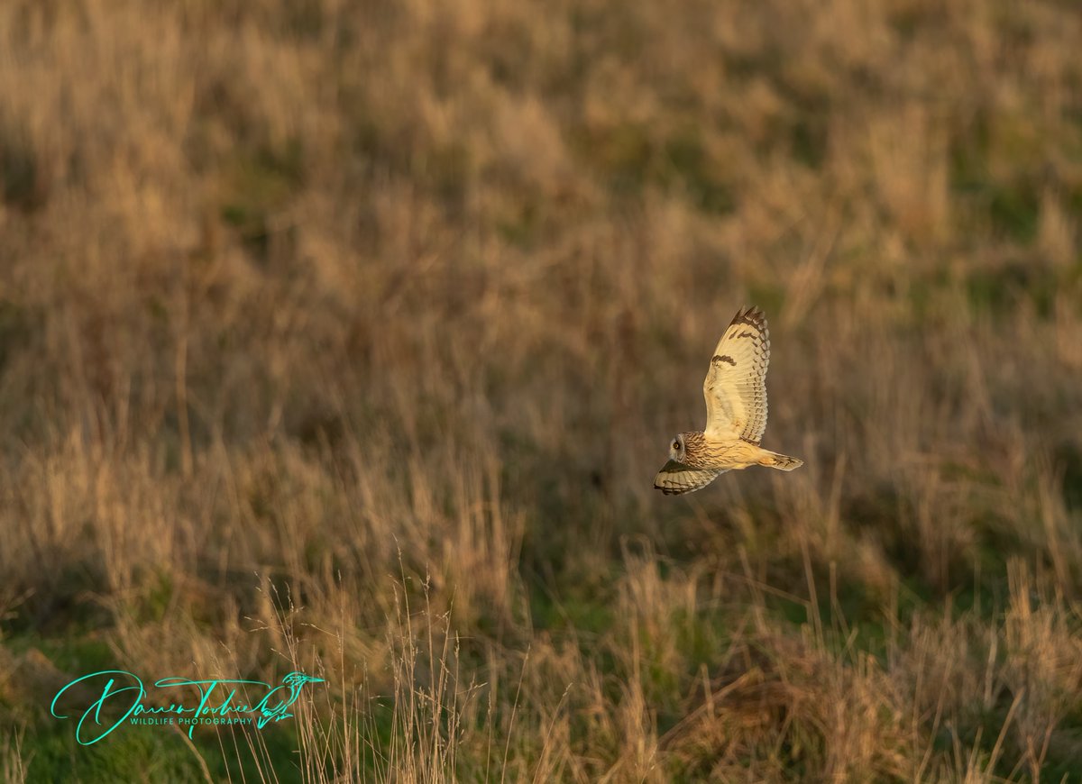 4 images to start the New Year with