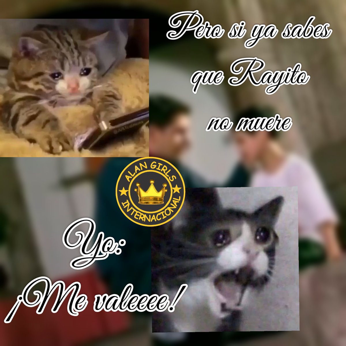 Alanlunatica's tweet photo. Imposible aguantar las lágrimas 😭
Además tus @alangirlsfc 💛👑 te extrañamos actuando, @ALANMAGNETO 💙 #EresUnaMaravilla #AlanActor #RayitoDeLuz
#Alantodalavida https://t.co/hEmEV84F7u