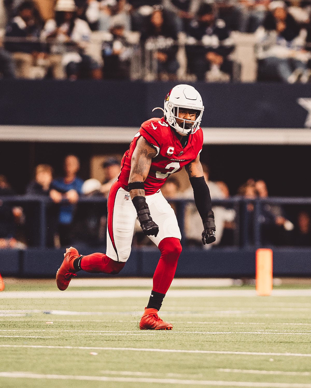 Budda baker clearance