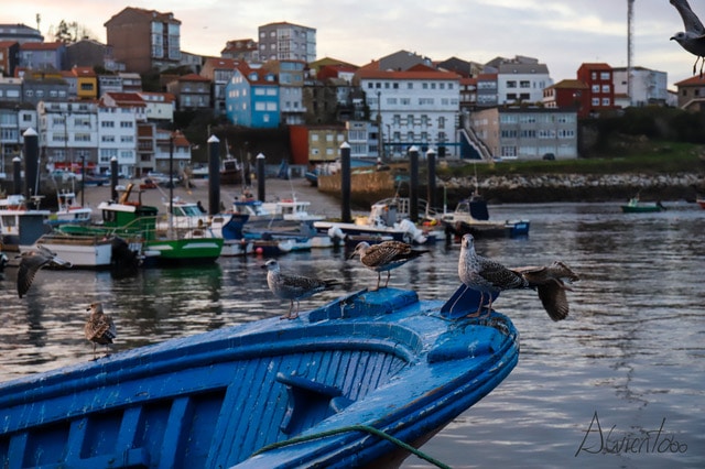 Alberto Ribas tweet media