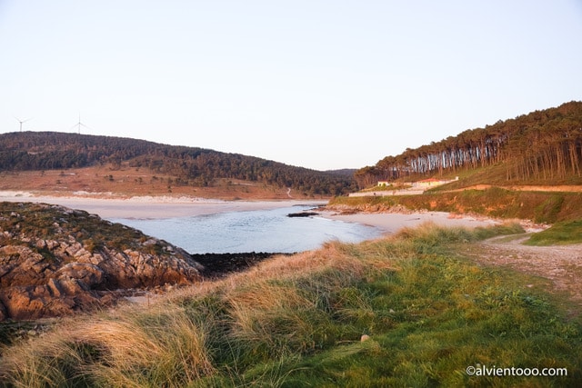 Alberto Ribas tweet media