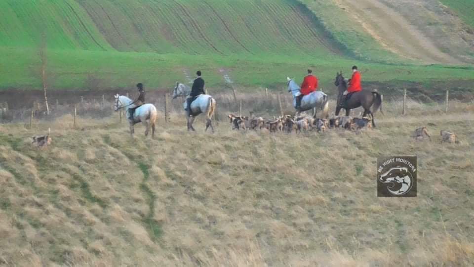 ForFoxSake21's tweet photo. Shame on you #hardwickhallhotel @HardwickHHotel for hosting the South Durham Hunt. #sedgefield #teestweets #Durham #keeptheban #TrailHuntLies #trailoflies #RETWEEET https://t.co/8fJ6hdo2eK