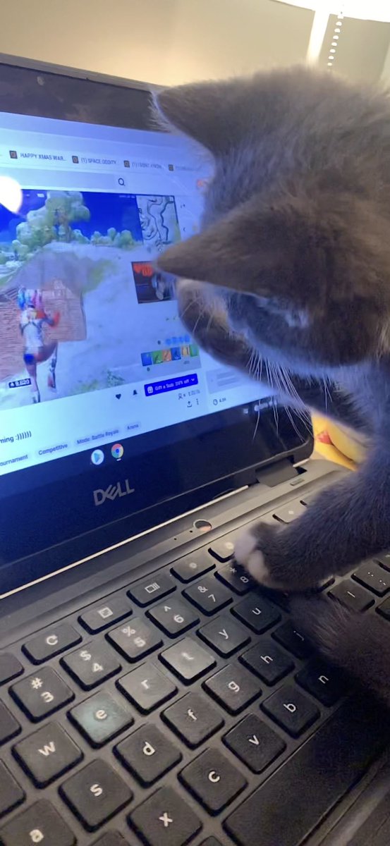 Stanotube Nation tweet media