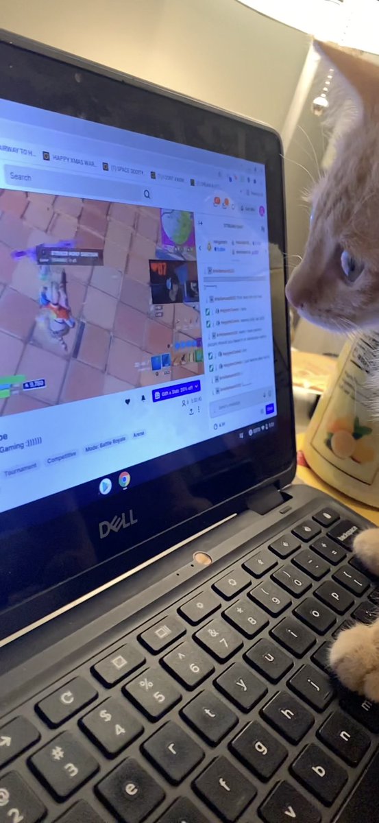 Stanotube Nation tweet media