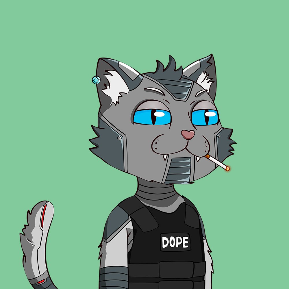 RichhhieRICH's tweet photo. Good evening NFT fam! Robo bulletproof looking too clean @Dope_Cats !! stop by our discord and say what's up! #30Solgiveaway #GoldRare #NFTs #NFTCommunity #Solana https://t.co/Z84O8CAzOn