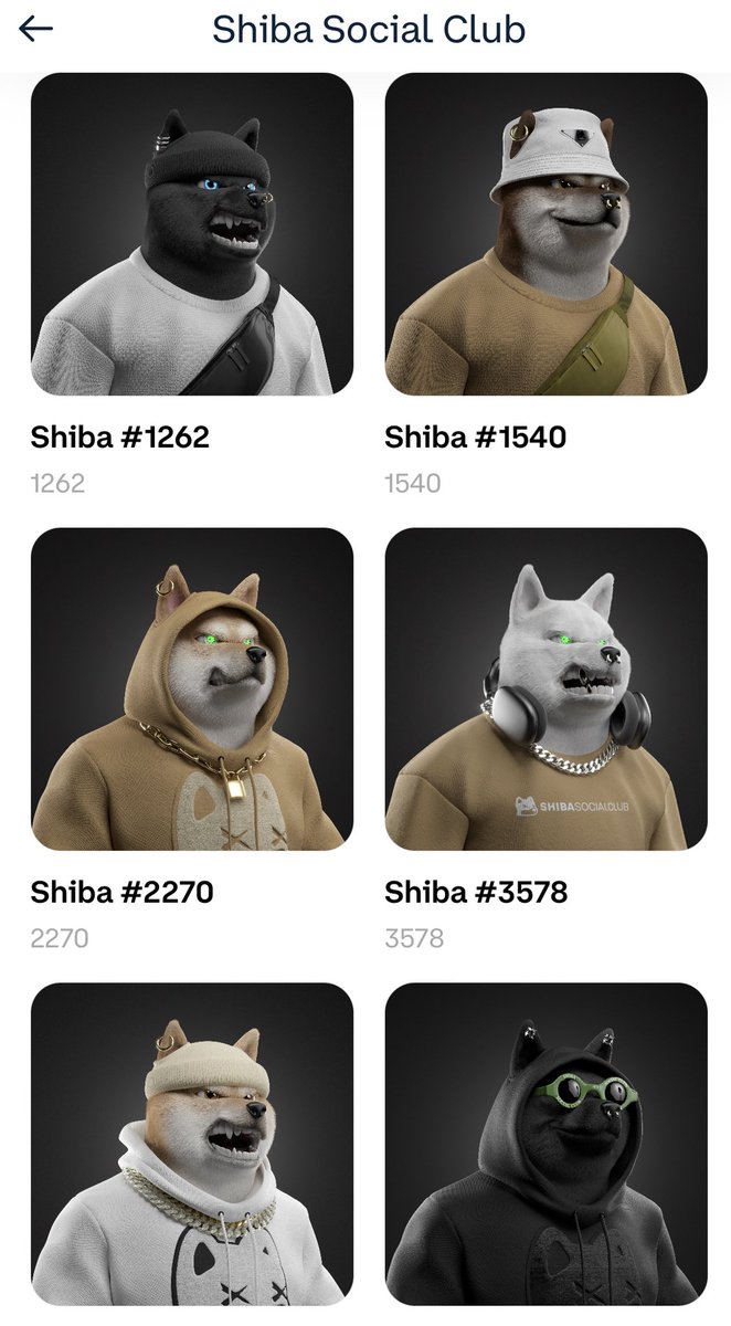 natradamus00's tweet photo. #shibasocialclub @Shibaclubnft Not listing! https://t.co/W6UdctkLr8