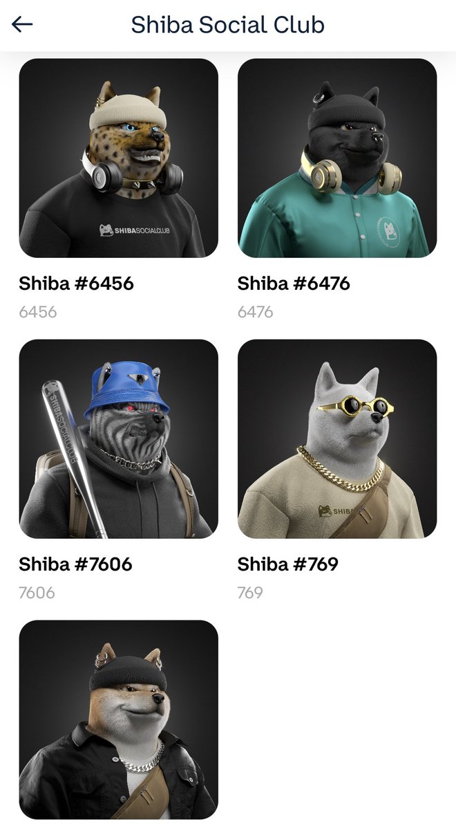 natradamus00's tweet photo. #shibasocialclub @Shibaclubnft Not listing! https://t.co/W6UdctkLr8