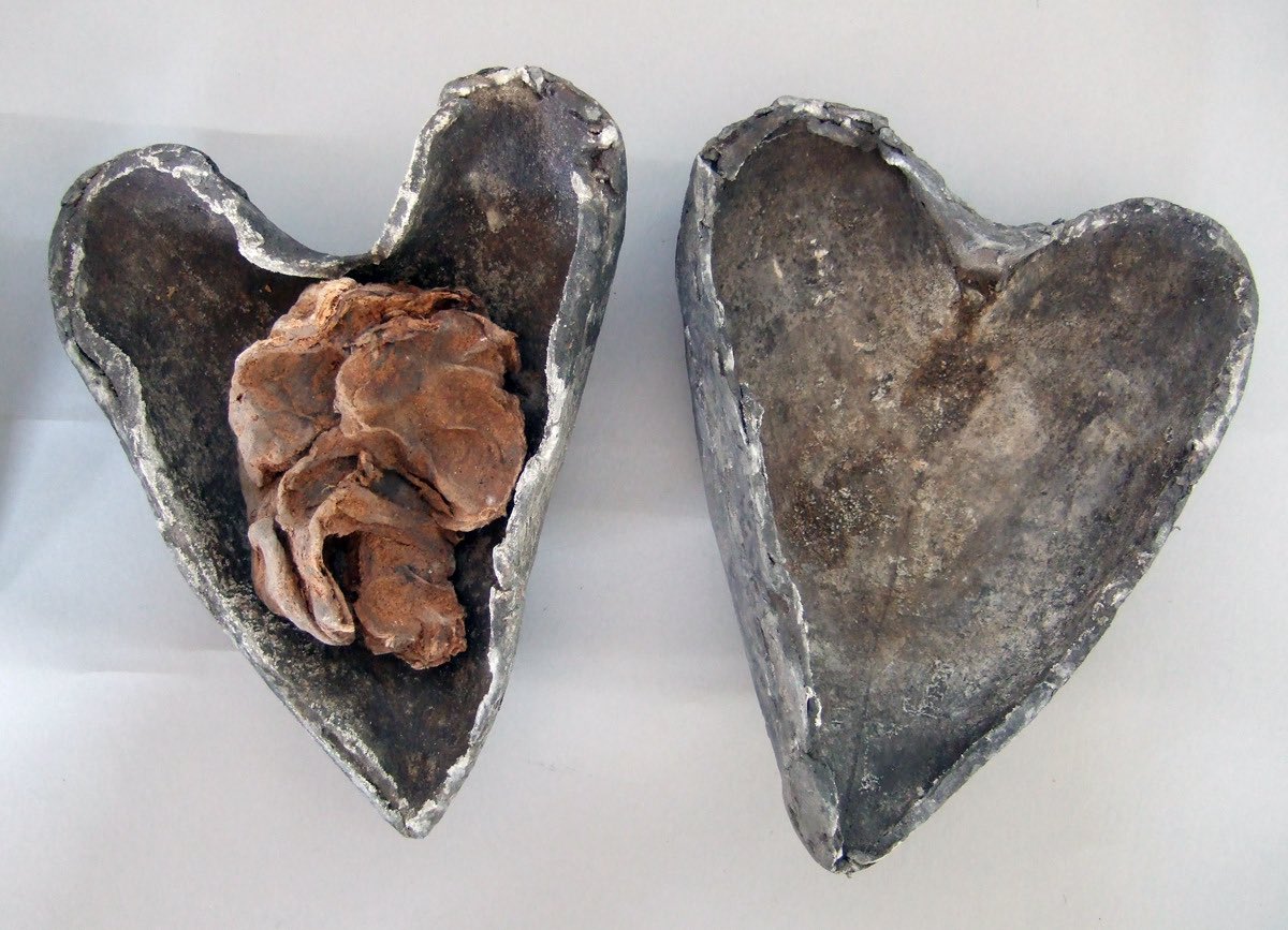 a preserved human heart, found in a medieval crypt in ireland in the 1860s