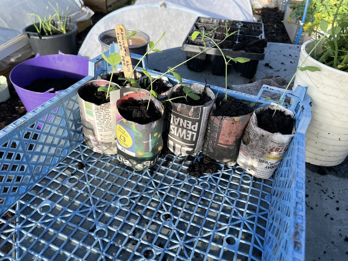 Alioune_BCamara's tweet photo. Comment faire des pots de fleurs en papier 🌱
https://t.co/wRCL4WRIjt https://t.co/O7nsn9YMQh