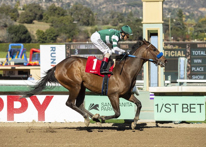 sadlerracing's tweet image. This is how you come back after a beautiful 2nd in the BC Fillies and Mare Sprint !  Great ride by @ljlmvel #wiretowire @santaanitapark @johnwsadler @KostaHronis @stephrosa3 @JuanLeyva1984  @AlexBisono