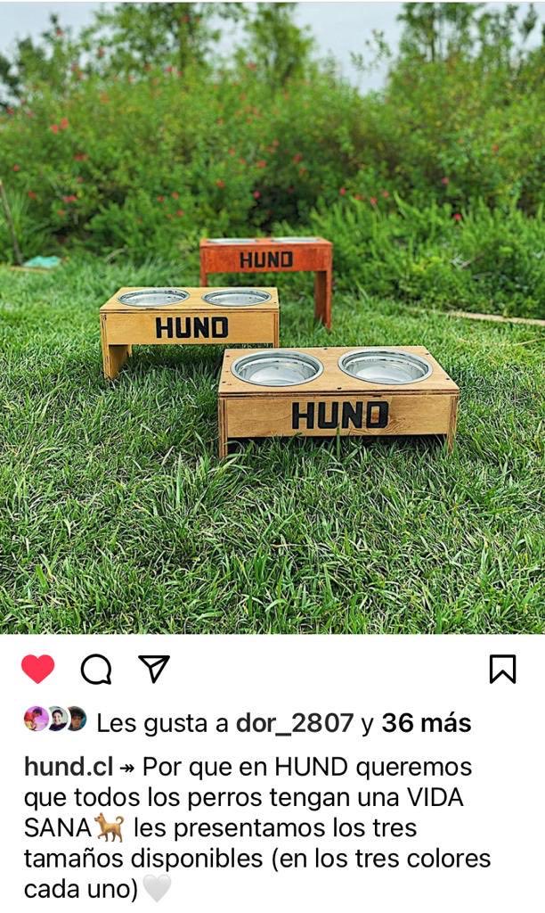 xime_intesal's tweet photo. Hola amigos de Twitter Les pido ayuda con la difusión del proyecto de mi hijo y un grupo de compañeros de la Universidad que están cumpliendo con un ramo de la malla curricular. Se agradece! @hund #mascotas #doglovers ⁦@Alexis_Sanchez⁩ https://t.co/JMZHsrYtXM
