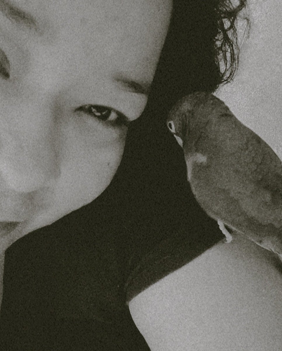AngieIgles's tweet photo. A little bit of love 💚 #sundayvibes #FirstPic2022 #greenbird #home https://t.co/WlUPwURumF