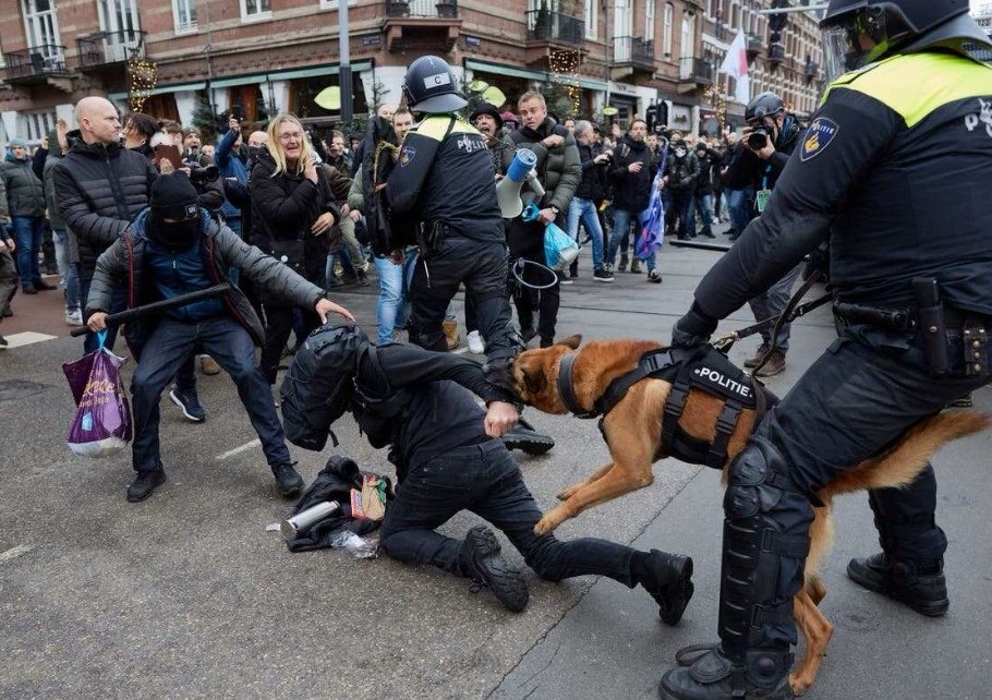 TKonigs's tweet photo. @sari32264489 mocht je de arm niet gesnapt hebben, hier is de andere hoek. https://t.co/S1G1WcgoHn