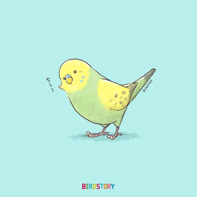 おはようございます。
本日は1月3日、ひとみの語呂合わせから、瞳の日とのことです🐣
鳥さんが頭をかたむけて、こちらをチラリと見つめてくれるしぐさが大好きです🍀
#BIRDSTORY 
#瞳の日 #セキセイインコ 
