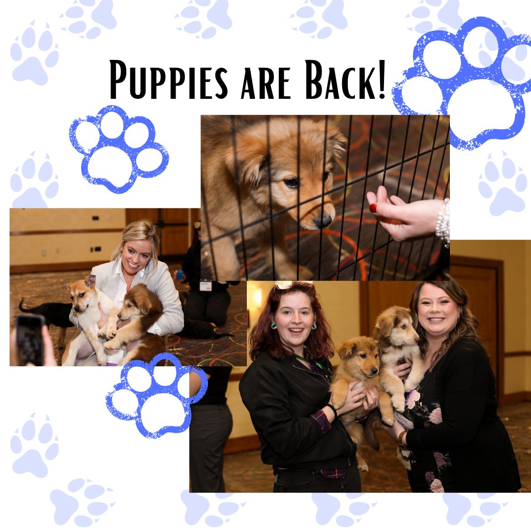 Initiate_GJ's tweet photo. Did you know that playing with puppies increases overall mood, lowers stress levels, and creates pure joy?

We are teaming up with Harmony Animal Matchmaker and Sanctuary to host a puppy playtime as one of our Creative Sessions &amp; will donate one pet adoption fee! 

#InitiateGJ https://t.co/b7ihDNB69Z