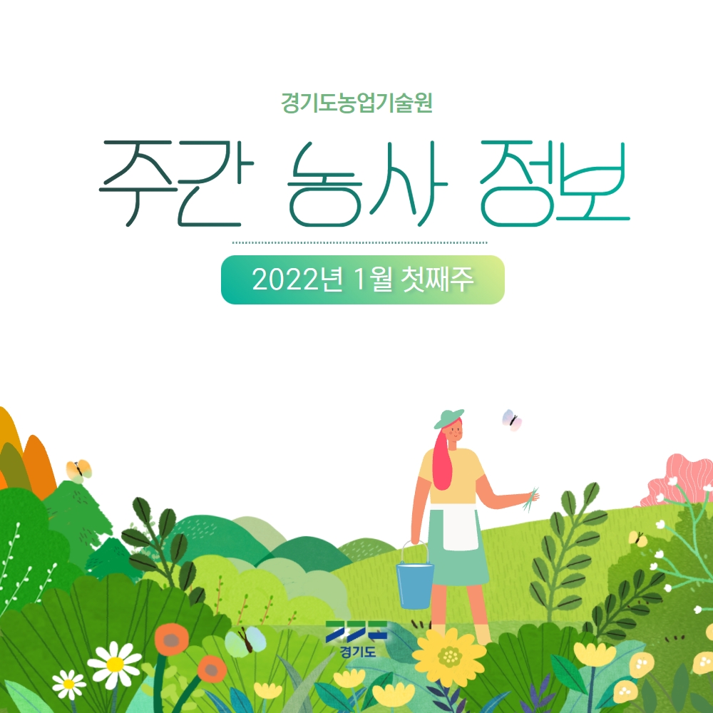 [#주간농사정보🌱]

안녕하세요, 여러분!👐
#경기도농업기술원 입니다!☺

#2022년_1월_첫째주 주간 농사 정보입니다.

주간 농사 정보는 #매주 월요일에
업로드 됩니다.💗

자세히 보기 「#농사로」
▶ han.gl/QjZDj

#경기도농업기술원 블로그👩‍🌾
▶blog.naver.com/ggnong
