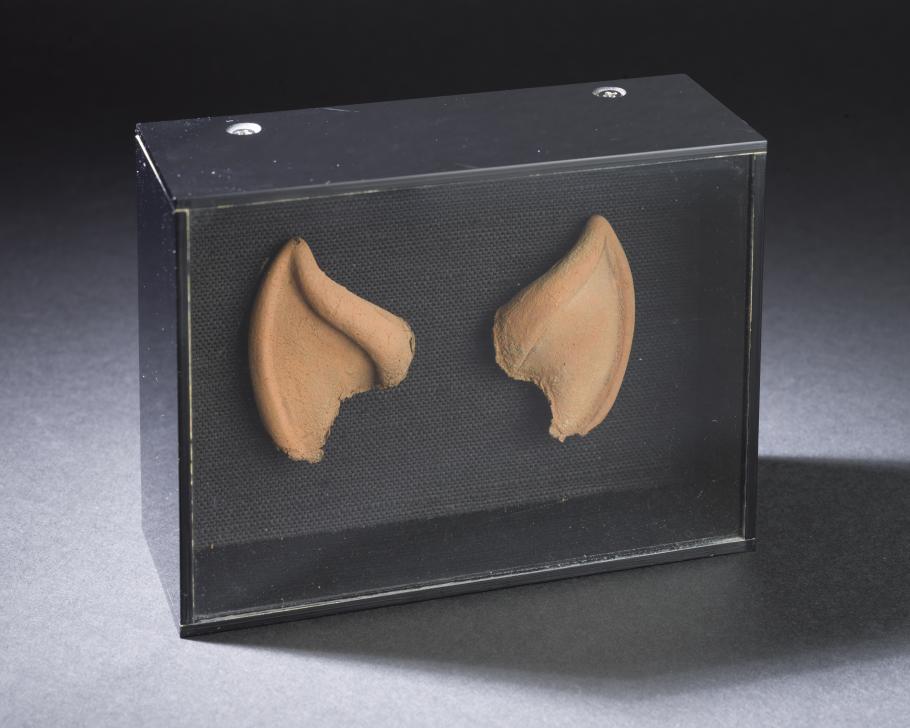 Leonard Nimoy's Spock ear tips in an enclosed glass box.