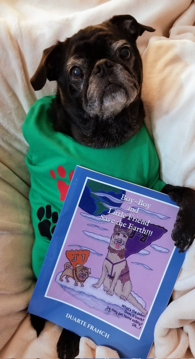 MisterPemberto1's tweet photo. A big THANK YOU to @DuarteFranch ππ for sending me a copy of her first book π we are very grateful, and so excited to read it! TY for the adorable tshirt as well ππ #pug #puglife #pugs #pugsoftwitter #dogsoftwitter #pugbook #BookWorm @ScribblePug https://t.co/vjfofAyVxz