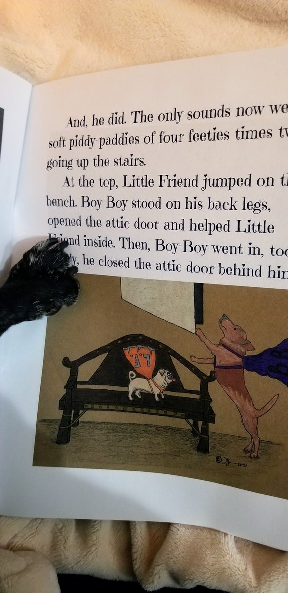 MisterPemberto1's tweet photo. A big THANK YOU to @DuarteFranch ππ for sending me a copy of her first book π we are very grateful, and so excited to read it! TY for the adorable tshirt as well ππ #pug #puglife #pugs #pugsoftwitter #dogsoftwitter #pugbook #BookWorm @ScribblePug https://t.co/vjfofAyVxz
