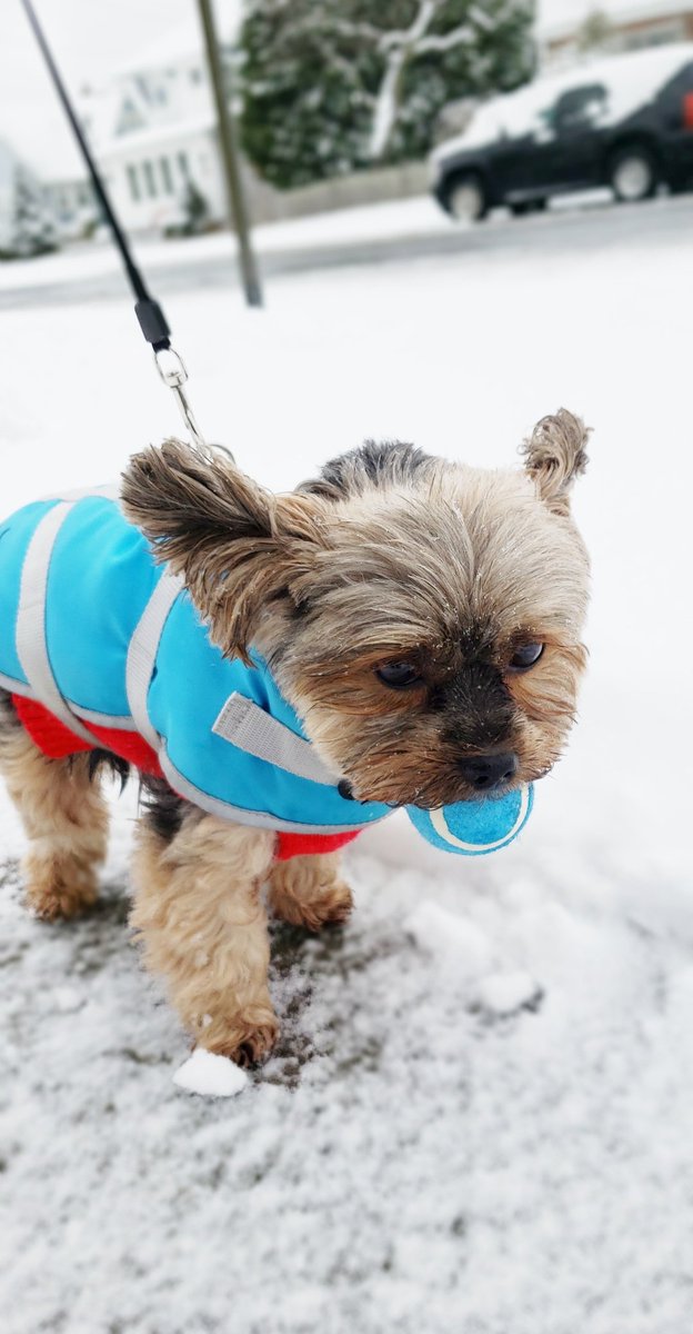 Scotty & Simone tweet media