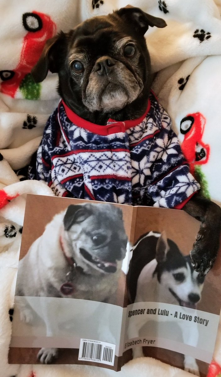 MisterPemberto1's tweet photo. Our wonderful friend Liz @SirSpencerPug wrote a beautiful book about our friends Spencer, Lulu and Tanner πππ check it out on Amazon ππππ #pug #puglife #pugs #pugsoftwitter #dogsoftwitter #books #pugbook https://t.co/9nGOFKjiu0
