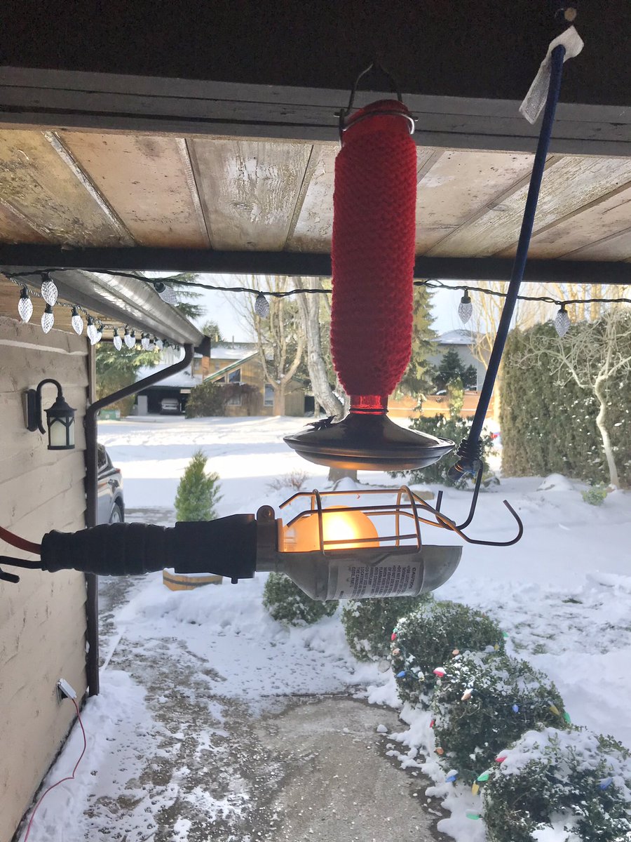 CrohnsGuy's tweet photo. Keeping the #hummingbirds fed with my #MacGyver method and my wife’s knitted cover. They are SO happy #bccold #bcwinter #BCStorm #winter #freeze #freezing https://t.co/5nwe1JWK9j