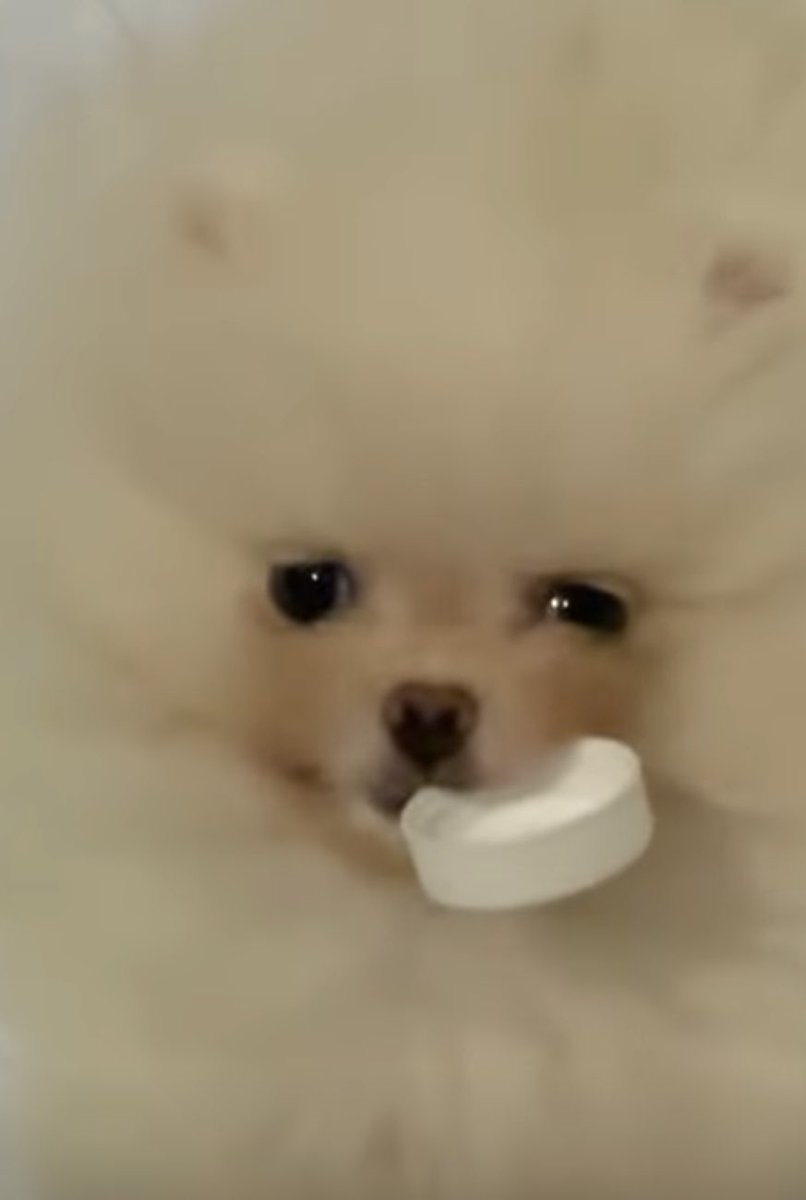 floooofik's tweet photo. Hellooooo https://t.co/TVoMeL7GZU