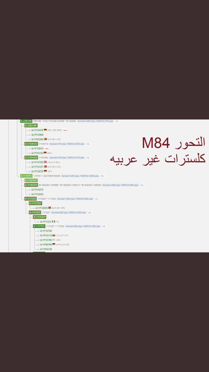 nbnbh67's tweet photo. عشان عينتين شاذتين خلوه هو التكتل والباقي يتجاهلونه!! فعلا حدث العاقل بما يعقل عندهم في السلالة الغير عربية Eتكتلات اعجمية خالصه ولاعندهم قبيلة عربية واحده ويقولون أنهم من العرب !! يبوي العرب شرق j1وأنت غرب E https://t.co/KN0kYmsRC4
