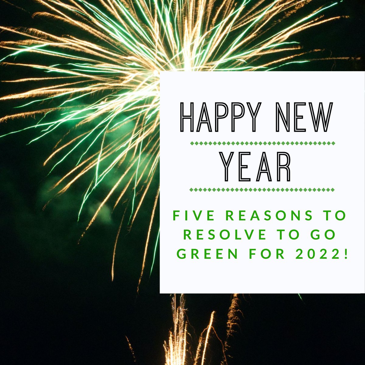 EcoEssentialz's tweet photo. https://t.co/H3VuO2uty7 https://t.co/uiYn8A8BPL
