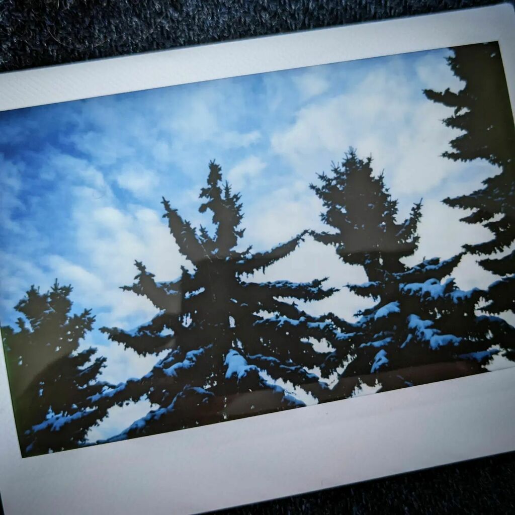 artsproul's tweet photo. A beautiful January sky #snowcappedtrees #instaxwide #instantphotography https://t.co/AMIczbdS0f