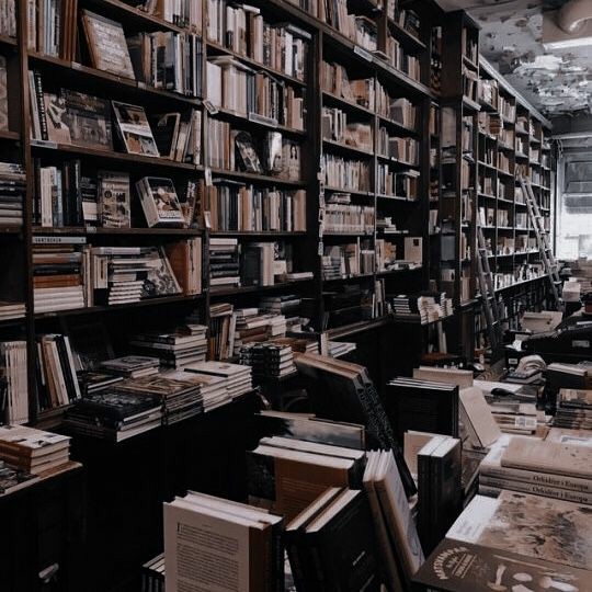 mavbooks's tweet photo. ⌗𓂃⊹𝔹𝕠𝕠𝕜𝕤 𝕚'𝕧𝕖 𝕣𝕖𝕒𝕕 𝕚𝕟 𝟚𝟘𝟚𝟚
             
         “Books are good company, in sad times and happy times, for books are people – people who have managed to stay alive by hiding between the covers of a book."

                                 — E.B. White https://t.co/mxue8XqAvb