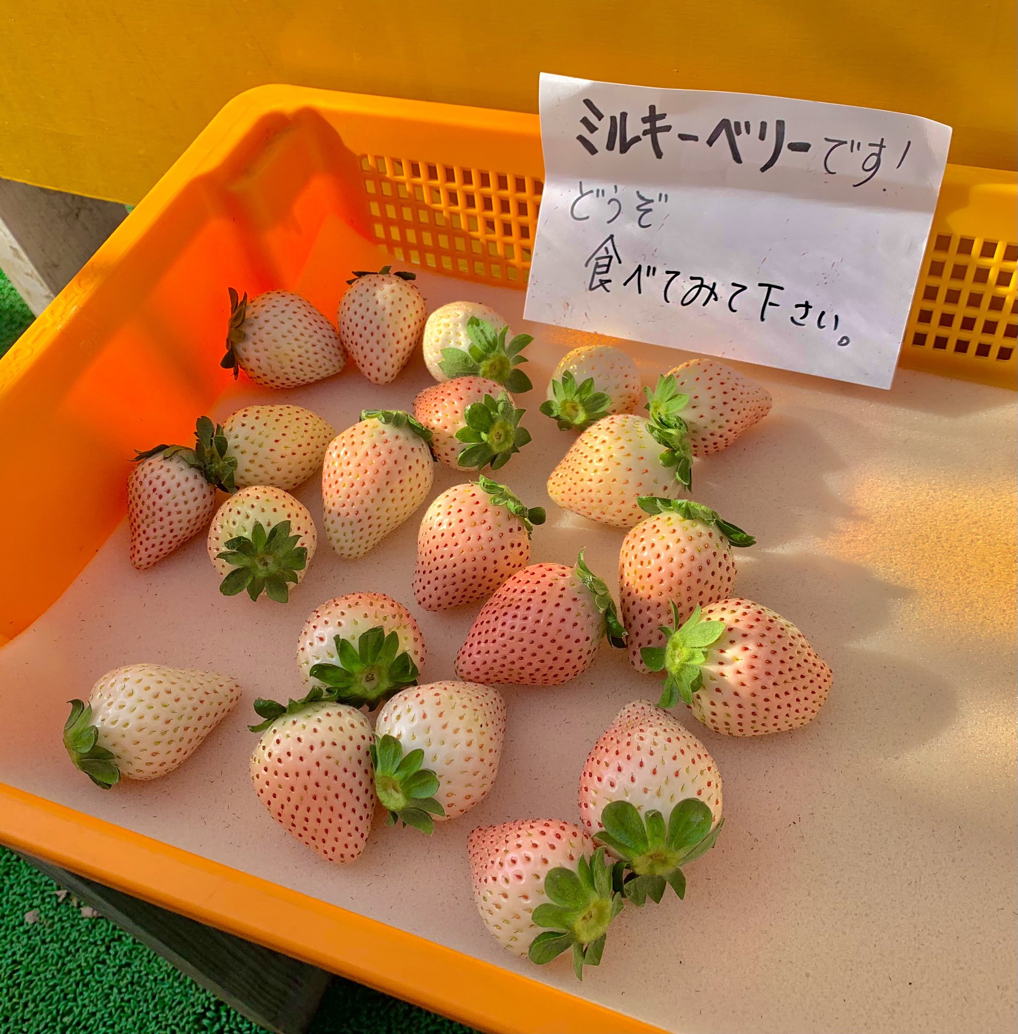 日光花いちもんめ Twitter Search Twitter