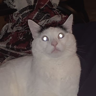 emseggs's tweet photo. #NewProfilePic https://t.co/bGfcwBFjDt