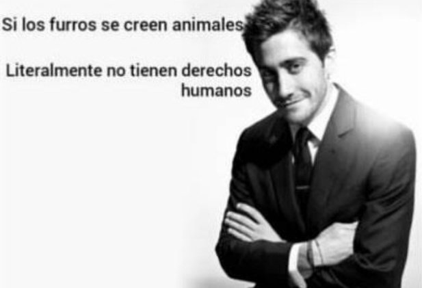 neivid tweet media