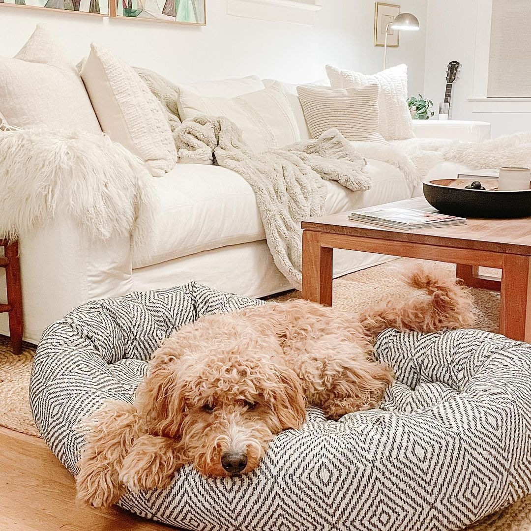 ruffhouzin's tweet photo. Check out our fabulous new Diamondback Microlinen Donut Bed! #dogs #DogsofTwittter #Dog https://t.co/xr05e6K0O9