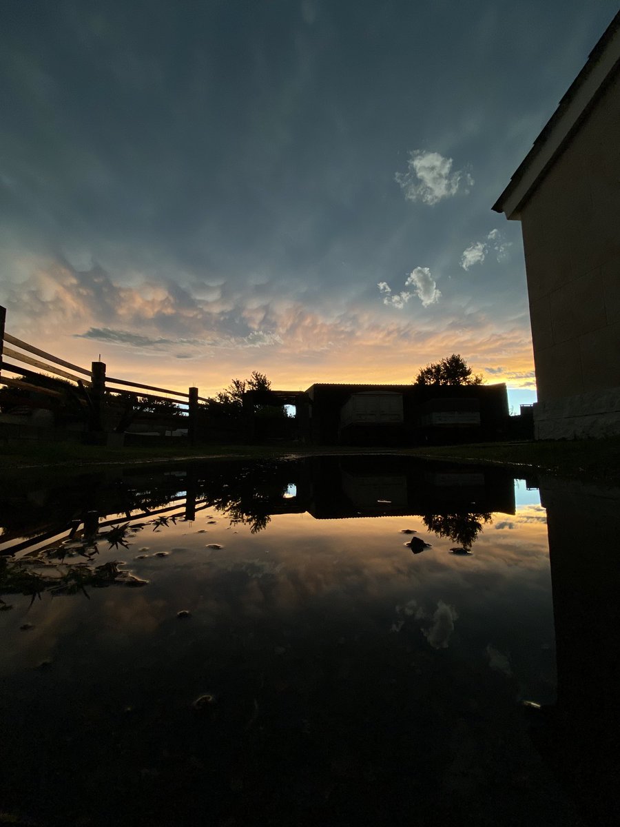 Acá tambien van porque están tremendas📸