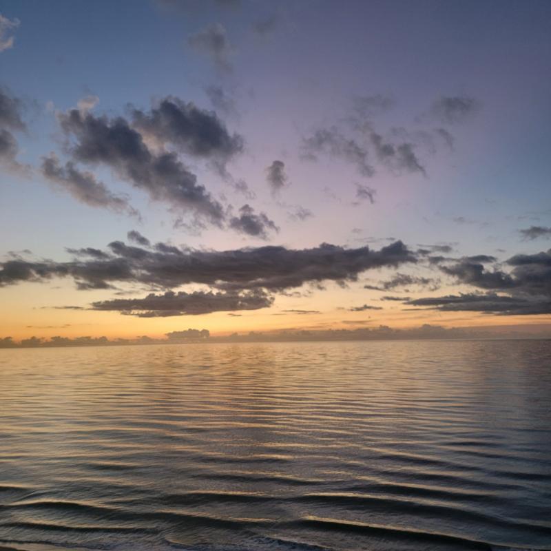 LisaTutich's tweet photo. I’m a finalist in Sea Crest Oceanfront Resort’s Story Contest. Help me rally votes: https://t.co/6FplVXbyZx @SeaCrestMBSC https://t.co/QSK7LqvH97