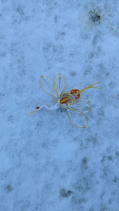 正月飾りがあちこちで吹き飛ばされてた。雪に鶴。 