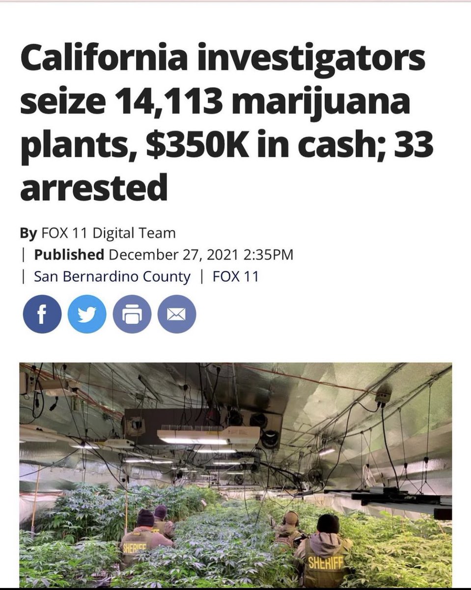 DigitalDankNFT's tweet photo. Should People still be jailed for growing Cannabis? 👀🤔 Thoughts? #CannabisCulture #Weedmob #weedsmokers https://t.co/5DPaTtAf0O