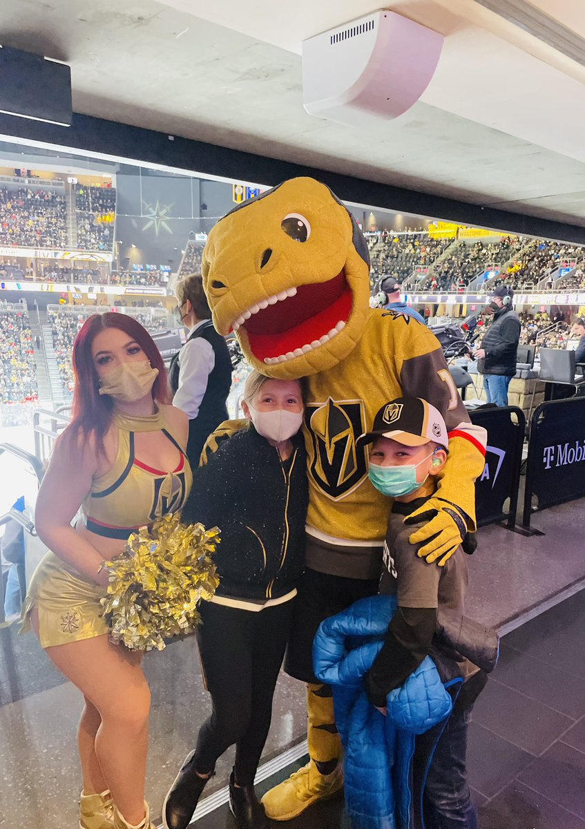 Team_Sara1's tweet photo. We still bleed blue #stlblues  but when in Vegas (and they aren’t playing the Blues 😋), we support #7! @alexpetro27 https://t.co/NHq0wiQ2zq