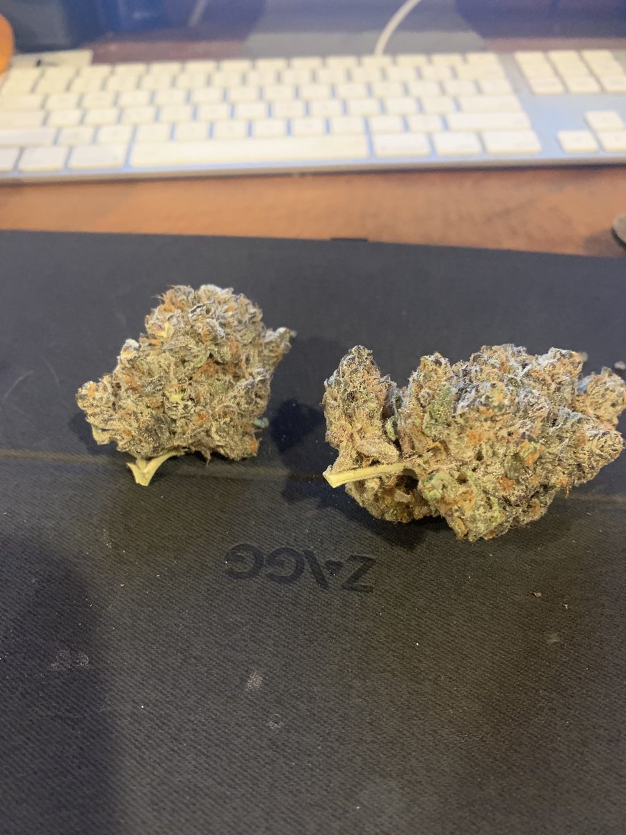 madflavor's tweet photo. This is what Antonio Brown smoked when he pulled a “Bert” and lost his fucking mind…….Tremendous! https://t.co/3XP9afIFQV