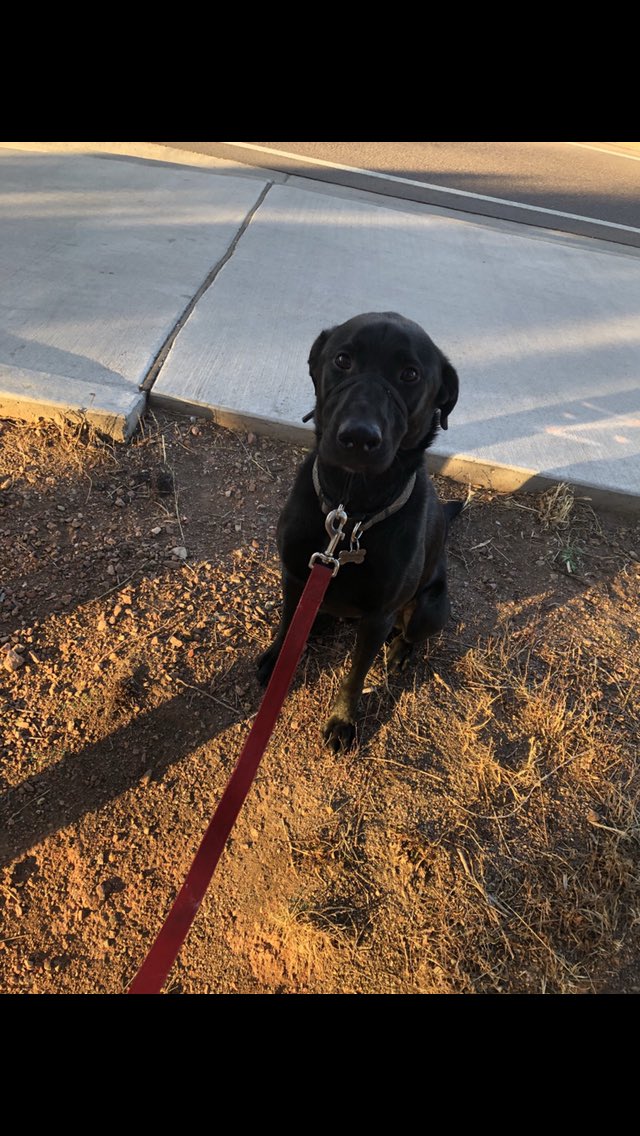 Jimvtodd68's tweet image. 2022 hasn’t started off any better than the last two years. My sister Mary passed away today. RIP Mary!! You will be missed so much!! Say hi to Dad for us. Luv u bunches! Don’t worry about Desmond. I got him!!!