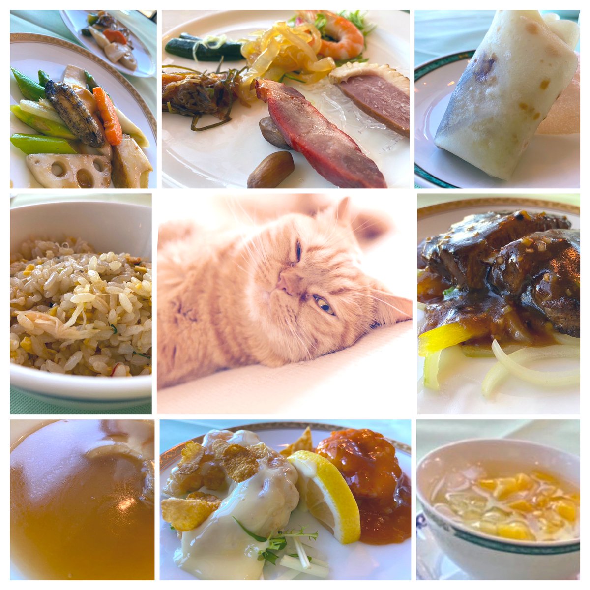 明けまして
おめでとうございます
🎍🎍🎍🎍🎍🎍🎍

母と2年ぶりの新年会はホテルレストランでマスク会食にいたしました😋
真ん中はお留守番を頑張った萌花です😻
皆さま今年もどうぞよろしくお願いいたします💖

#2022年もよろしく ＃猫好きさんとつながりたい #マンチカン女子 #パール族 #Nikon #Z6